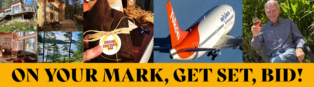 2025 Online Auction Website Home Page Hear no evil, see no evil, speak no evil - actors in A Doll's House Part 2